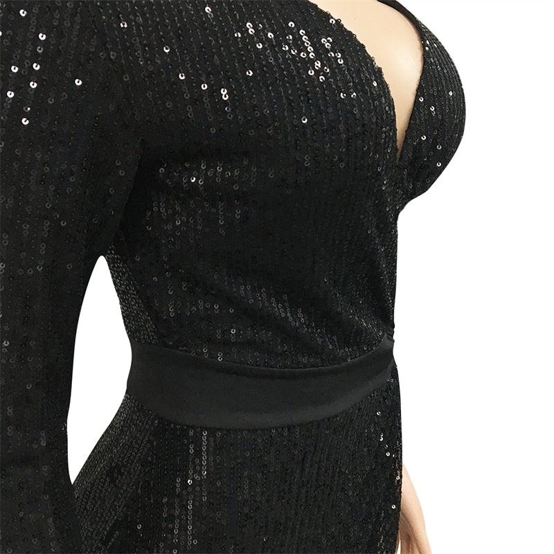 Women Sequins Mini Dress